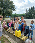 zadania wykonywane przez uczniów (photo)