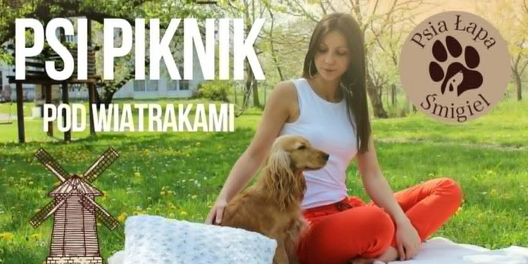 Psi Piknik pod wiatrakami
