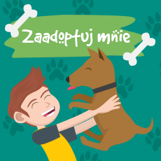 Zaadoptuj mnie